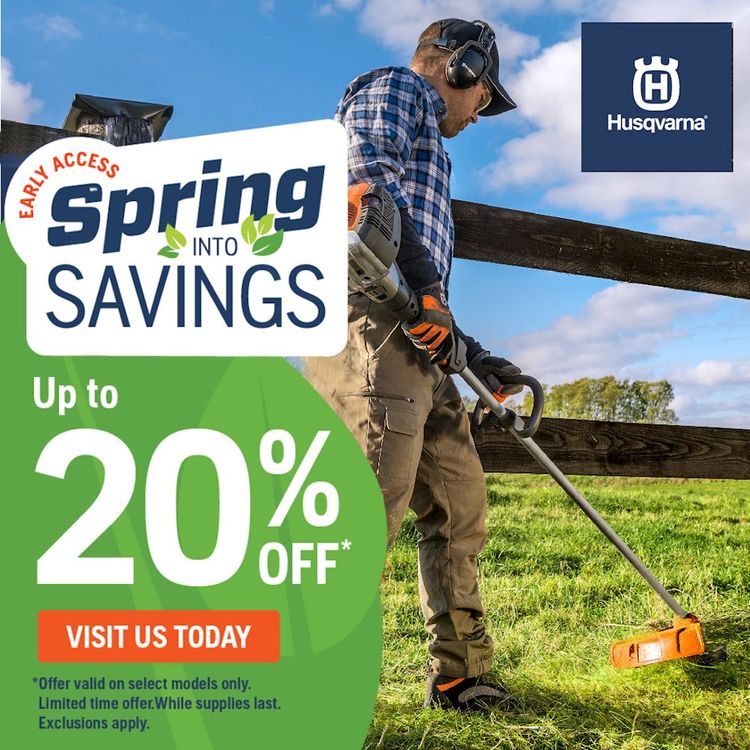 Get set for spring